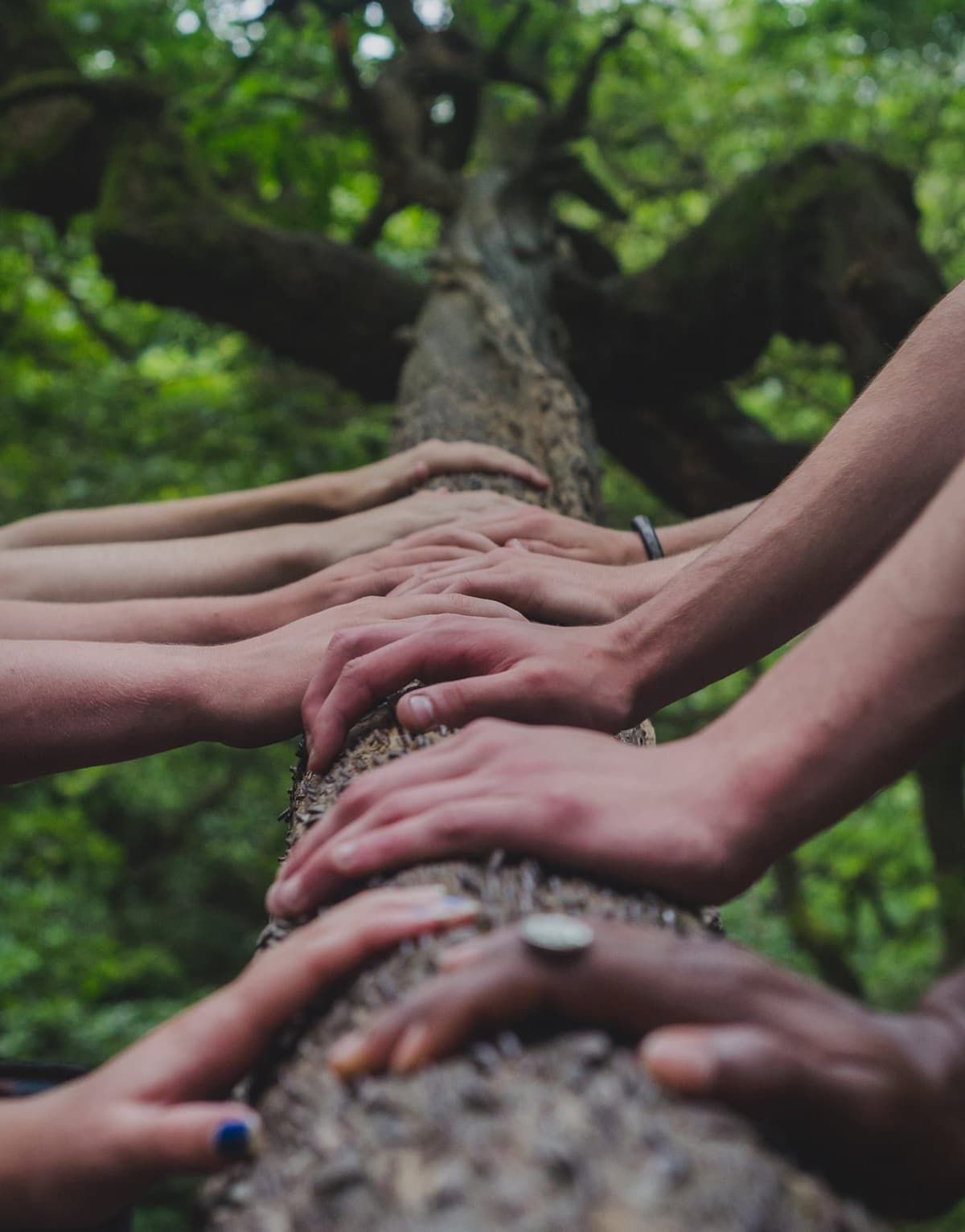 Integrated Neuro collaborative care approach