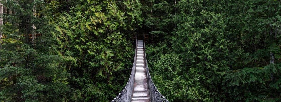 Counselling and mental wellness support